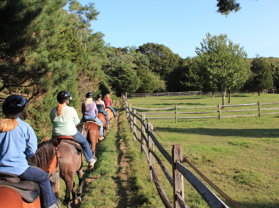 Esperanza Riding Company景点图片