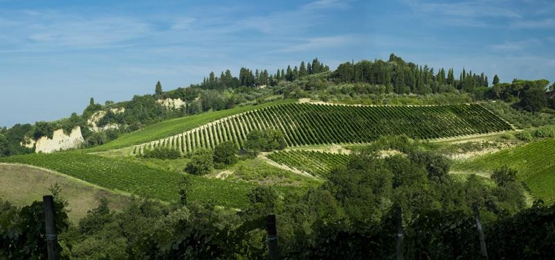 Tuscany Cook-切塔尔多必去景点