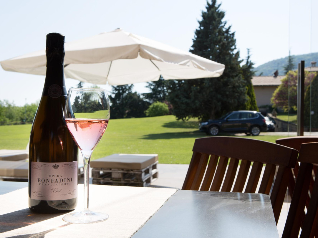 Azienda Agricola Bonfadini Franciacorta景点图片