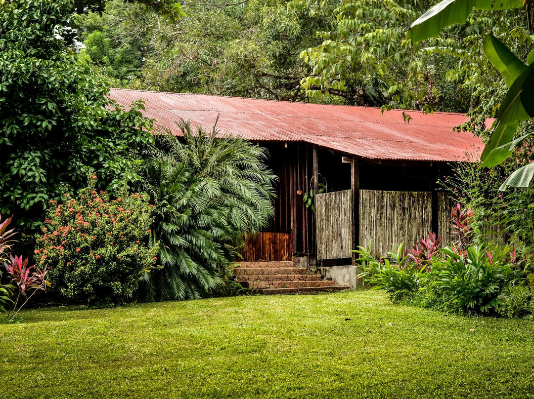 Ecovital Costa Rica