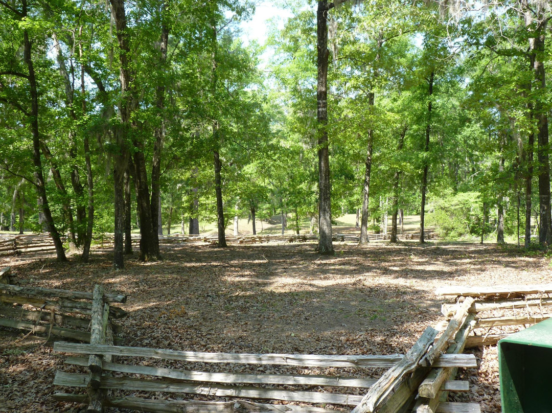 Rivers Bridge State Historic Site景点图片