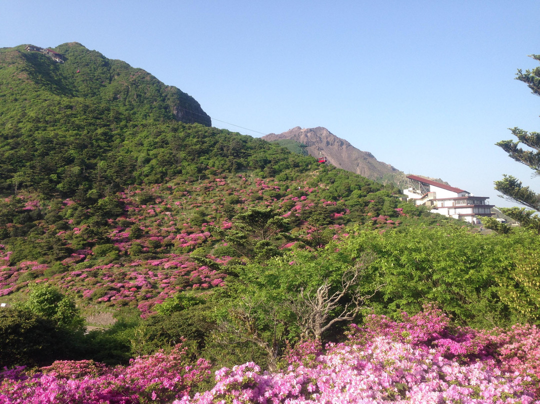 Nita Pass Lookout Deck-云仙市必去景点