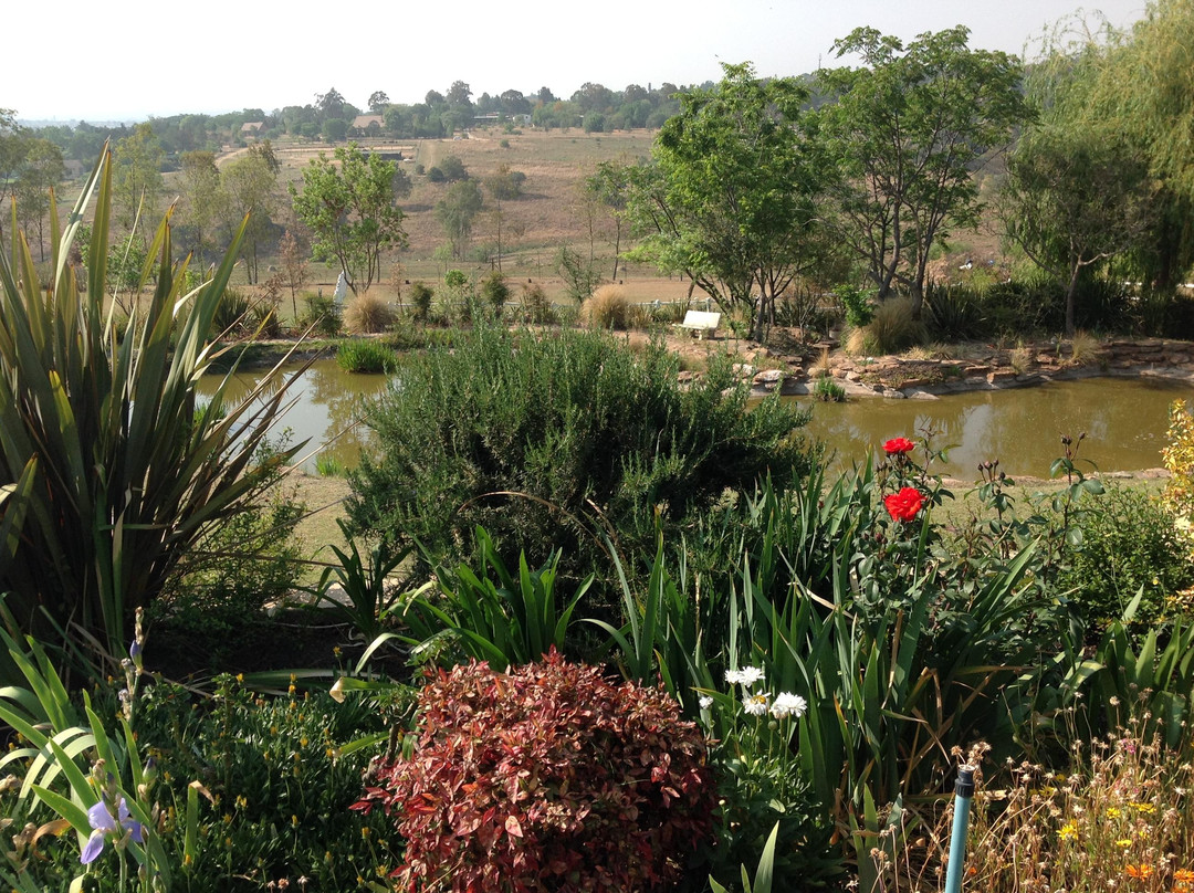 琥珀色玫瑰国家庄园主图