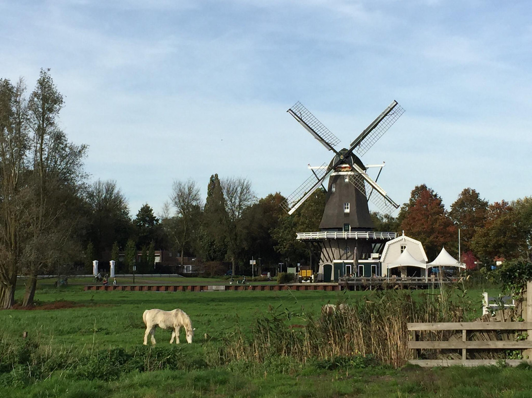 Spakenburg Windmill-斯帕肯堡必去景点