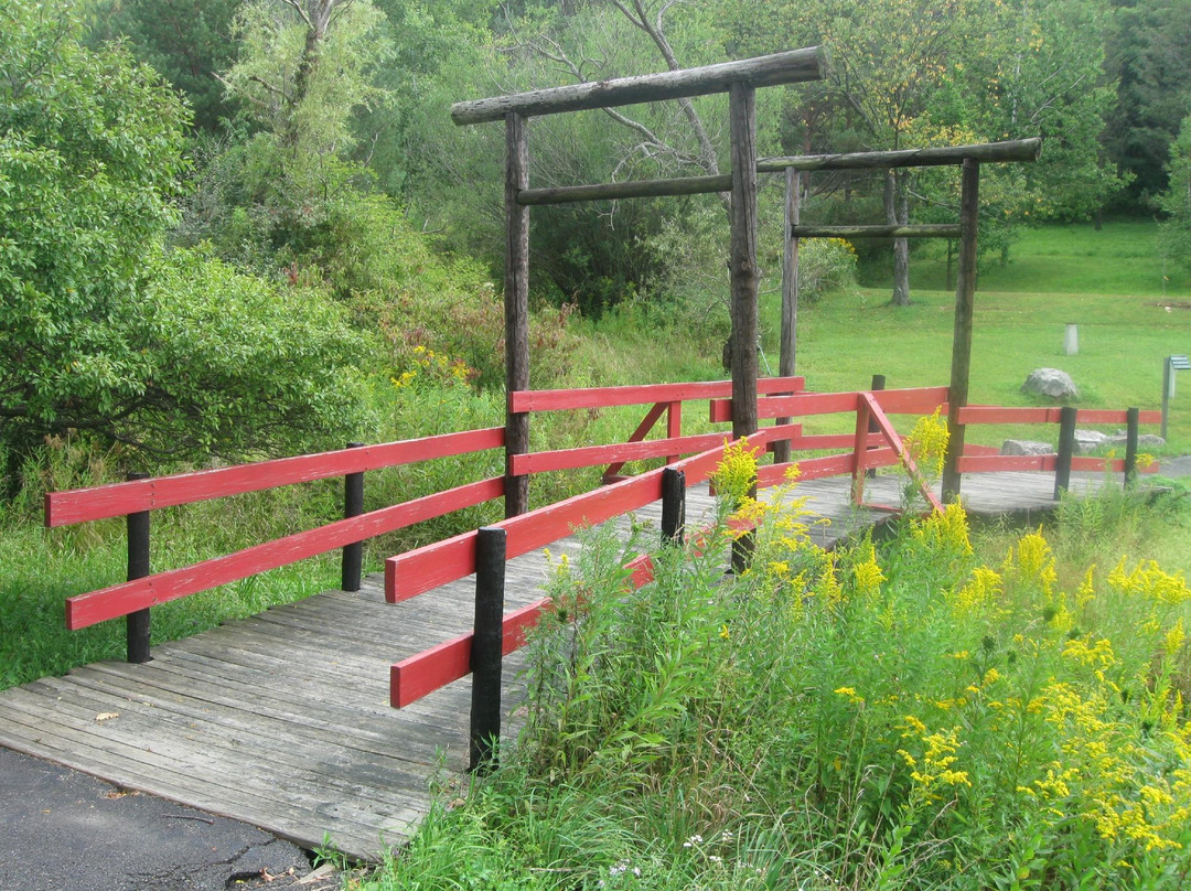 Nannen Arboreum-Ellicottville必去景点