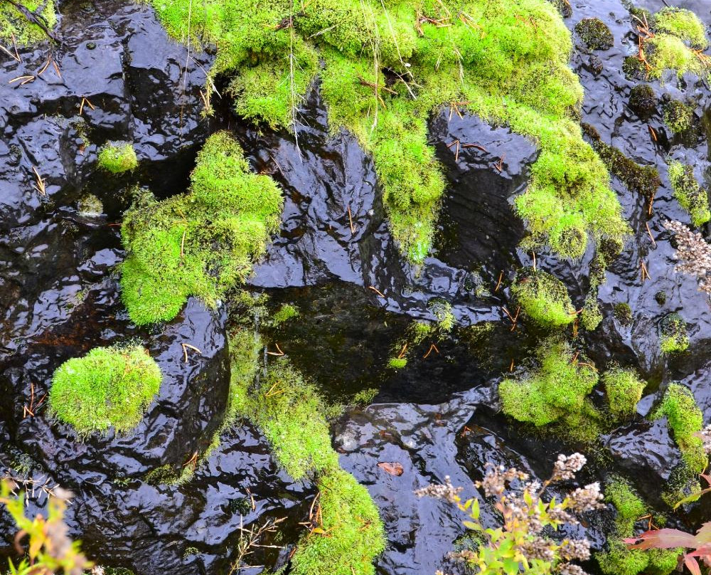 Rotary Park Lookout-Sudbury必去景点