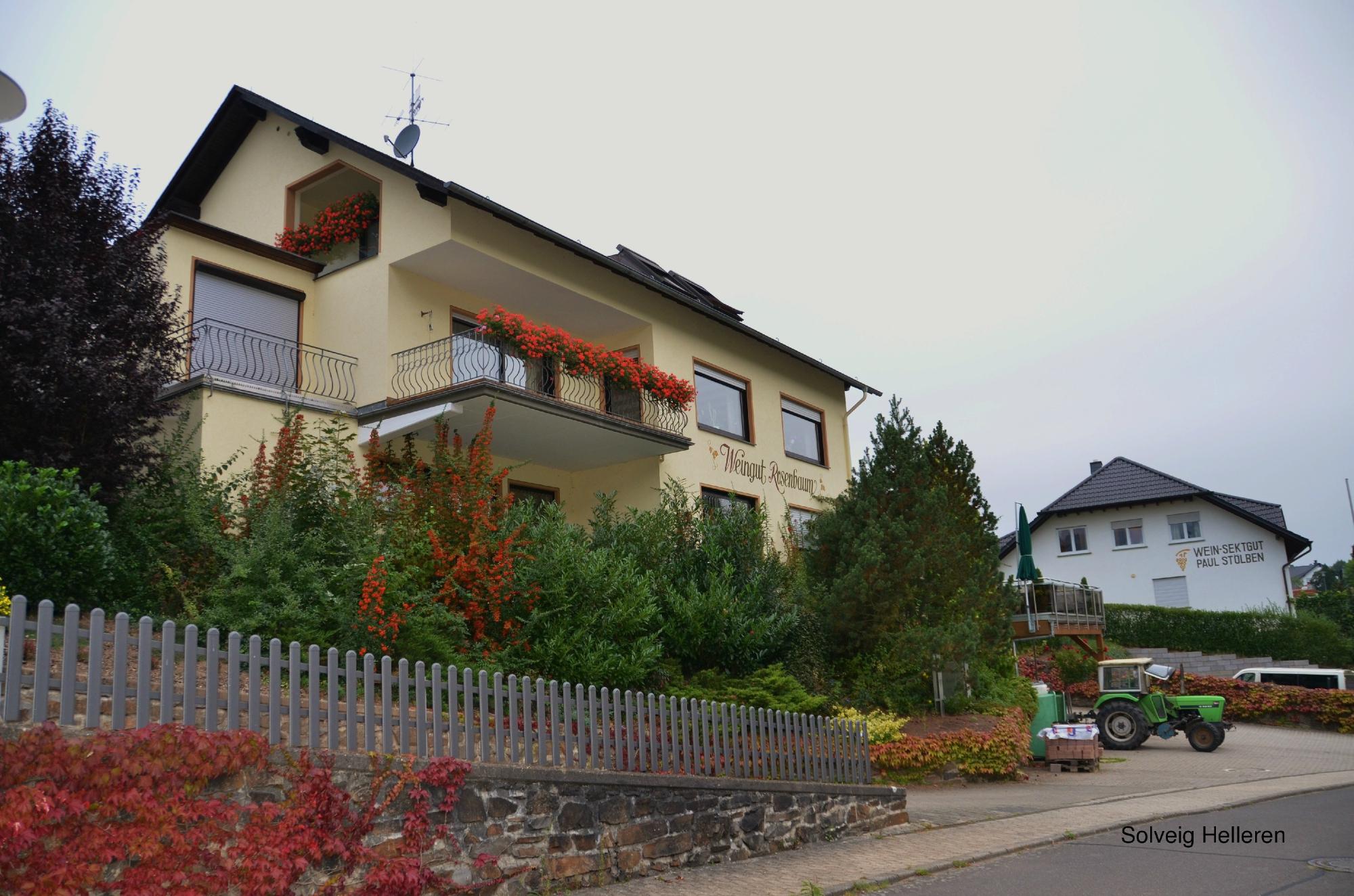 Weingut Rosenbaum-浴室