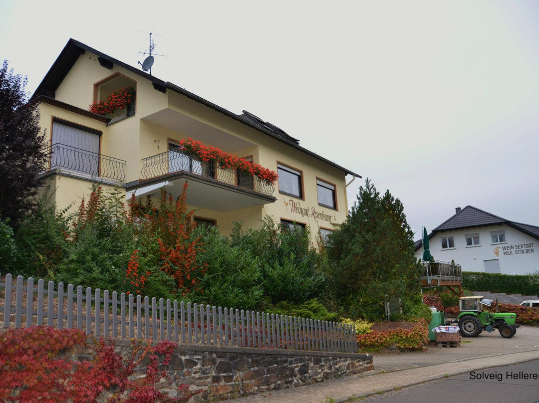 Briedel酒店住宿-Weingut Rosenbaum