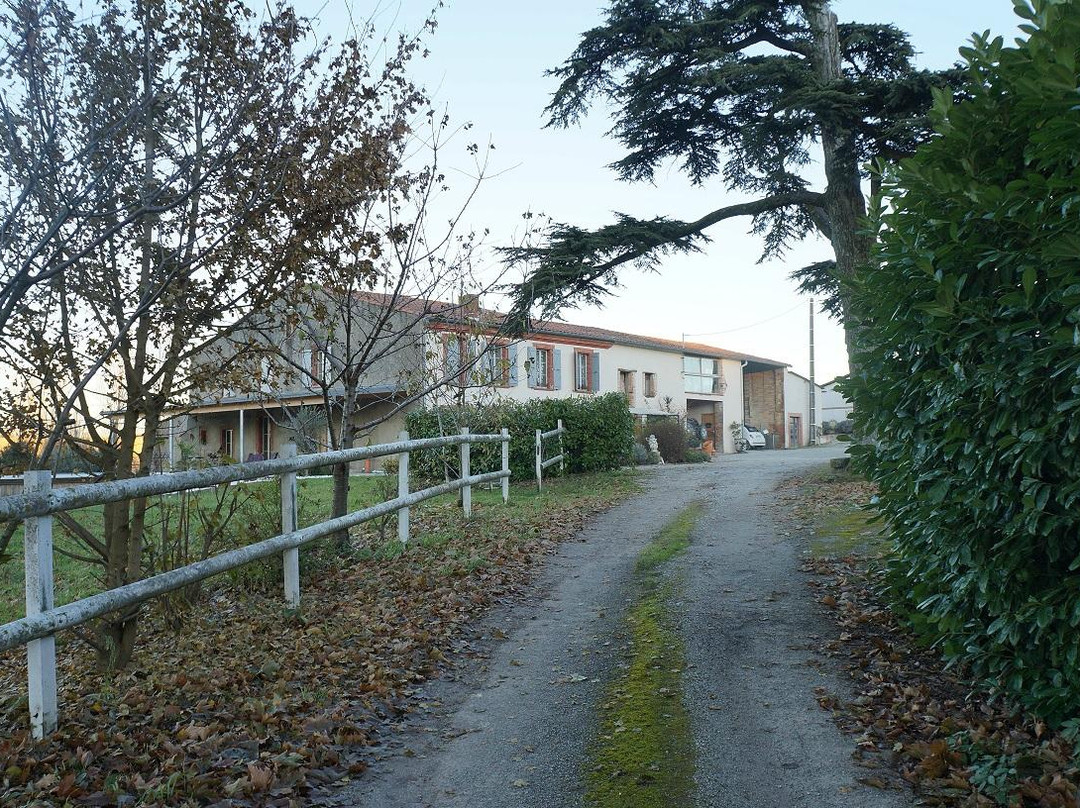 Domaine En Castanet主图