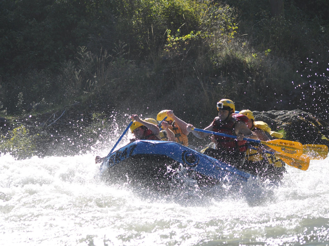 River Recreation Whitewater Rafting Day Trips-Monitor必去景点