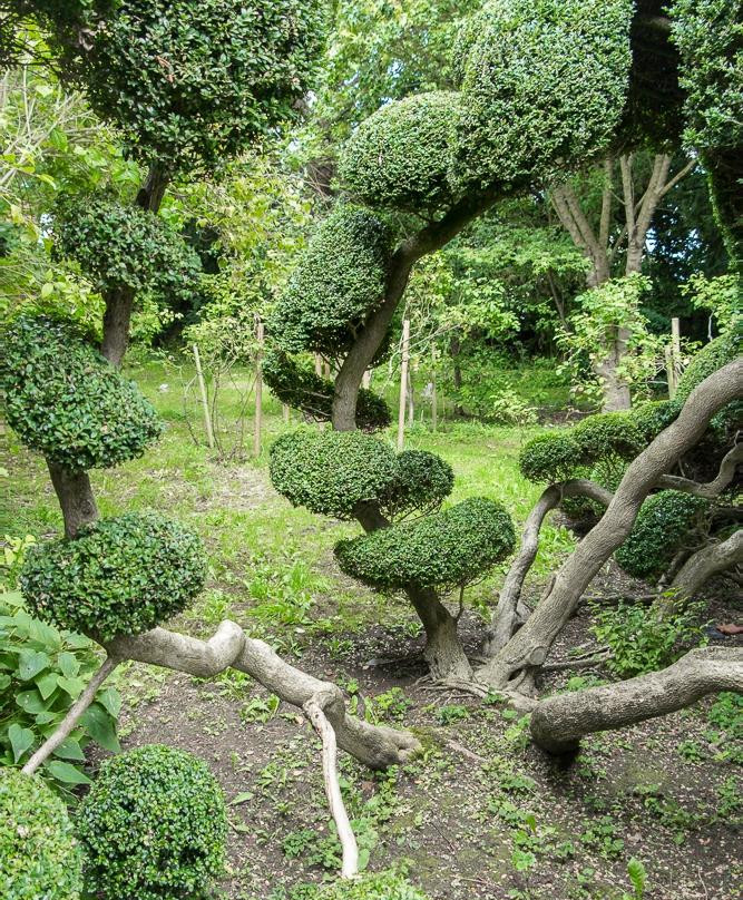 Docwra's Manor Garden景点图片