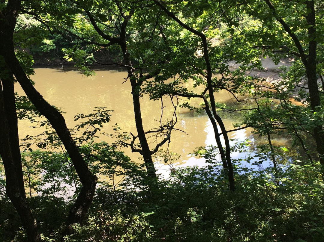 Lacul Albastru (The Blue Lake)景点图片