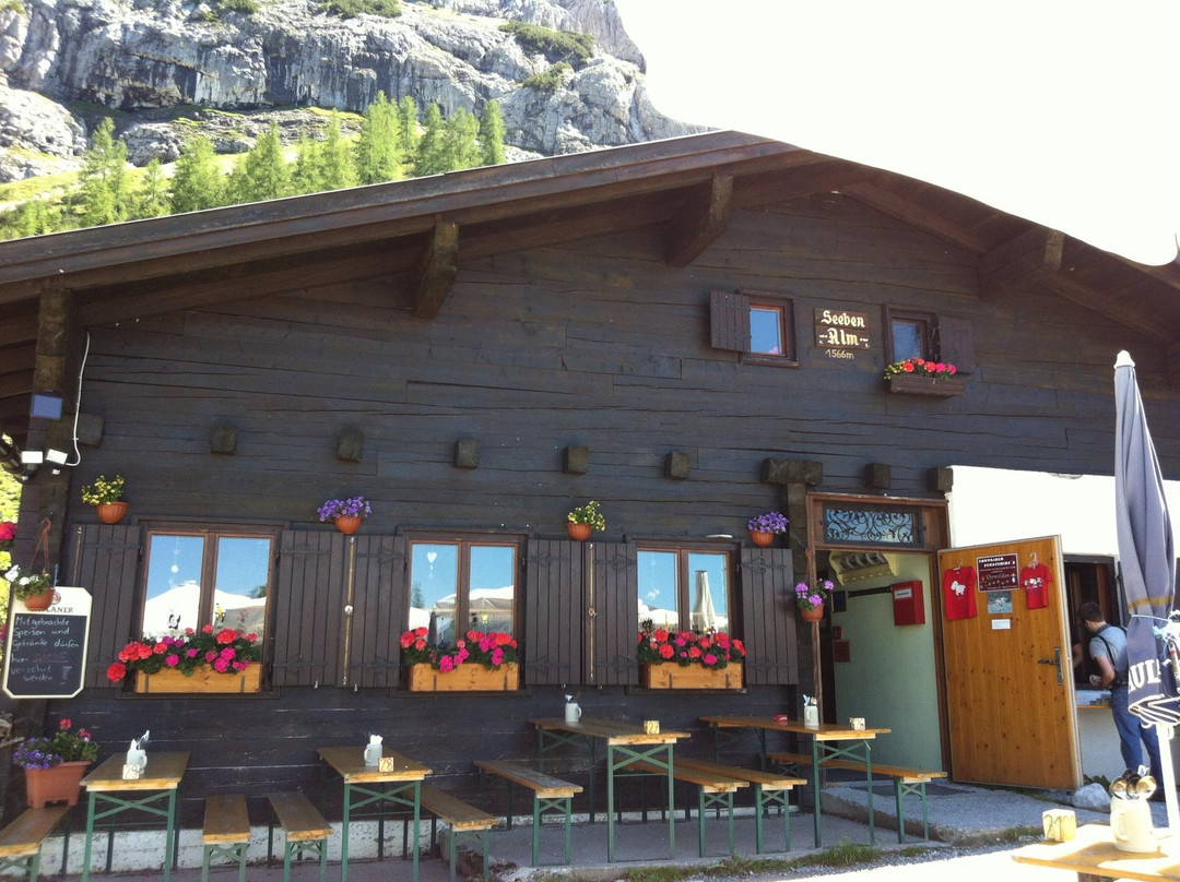 Ehrwalder Almbahn-埃尔森林市必去景点