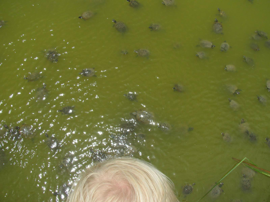 Memorial Park-罗克波特必去景点