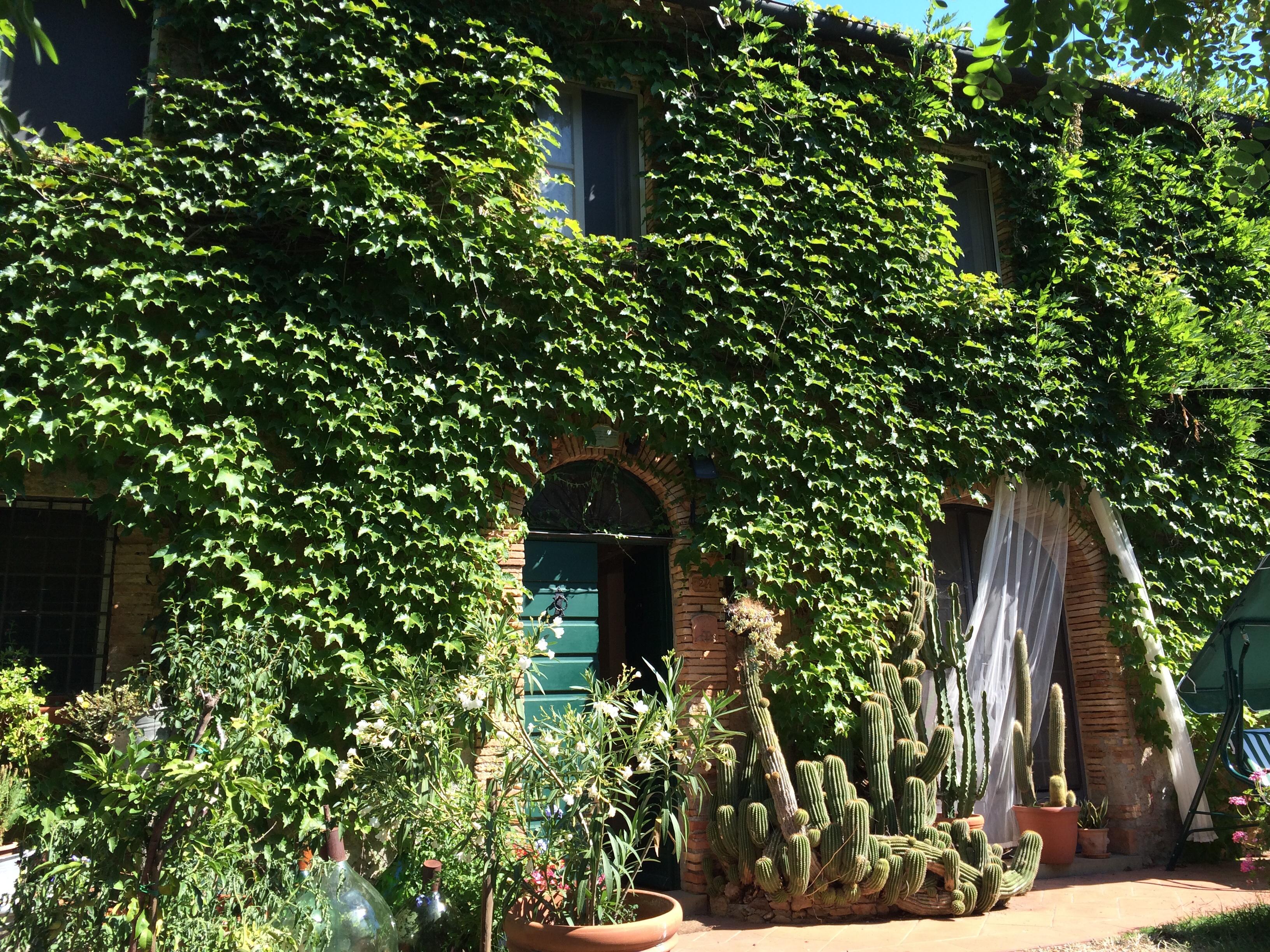 Agriturismo La Leccia-官方