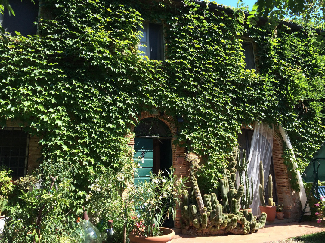 Agriturismo La Leccia主图