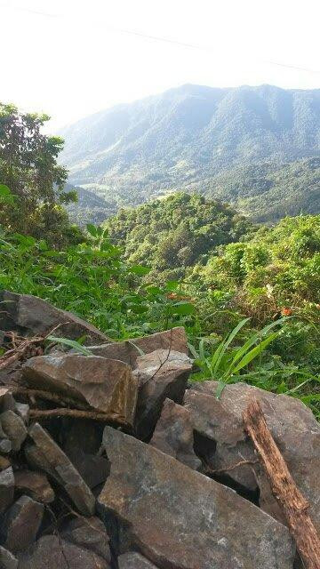 Off the Beaten Path PR-Juncos必去景点