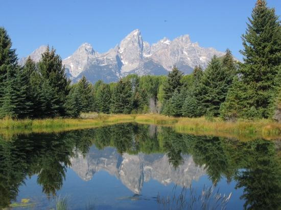 Schwabacher Landing-大提顿国家公园必去景点