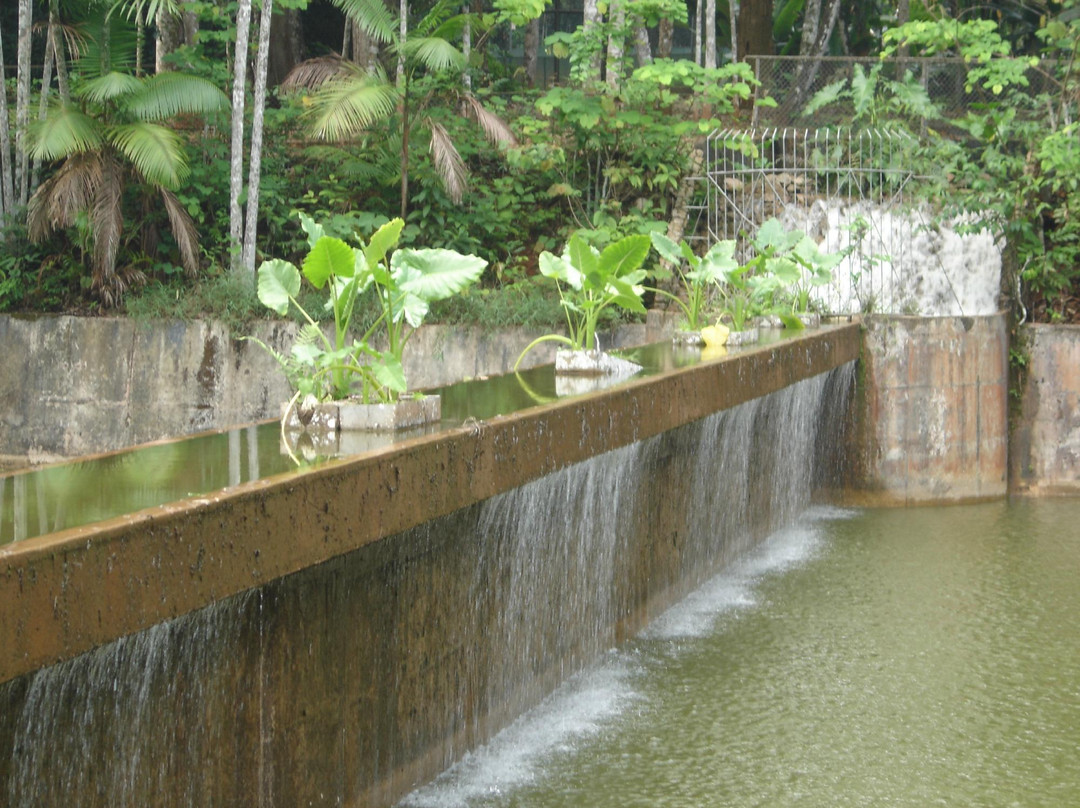 BioParque Vale Amazônia-Parauapebas必去景点