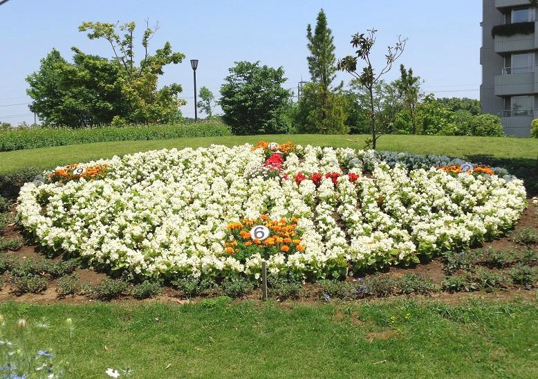 Hogashi Matsudo Yui no Hana Park-松户市必去景点