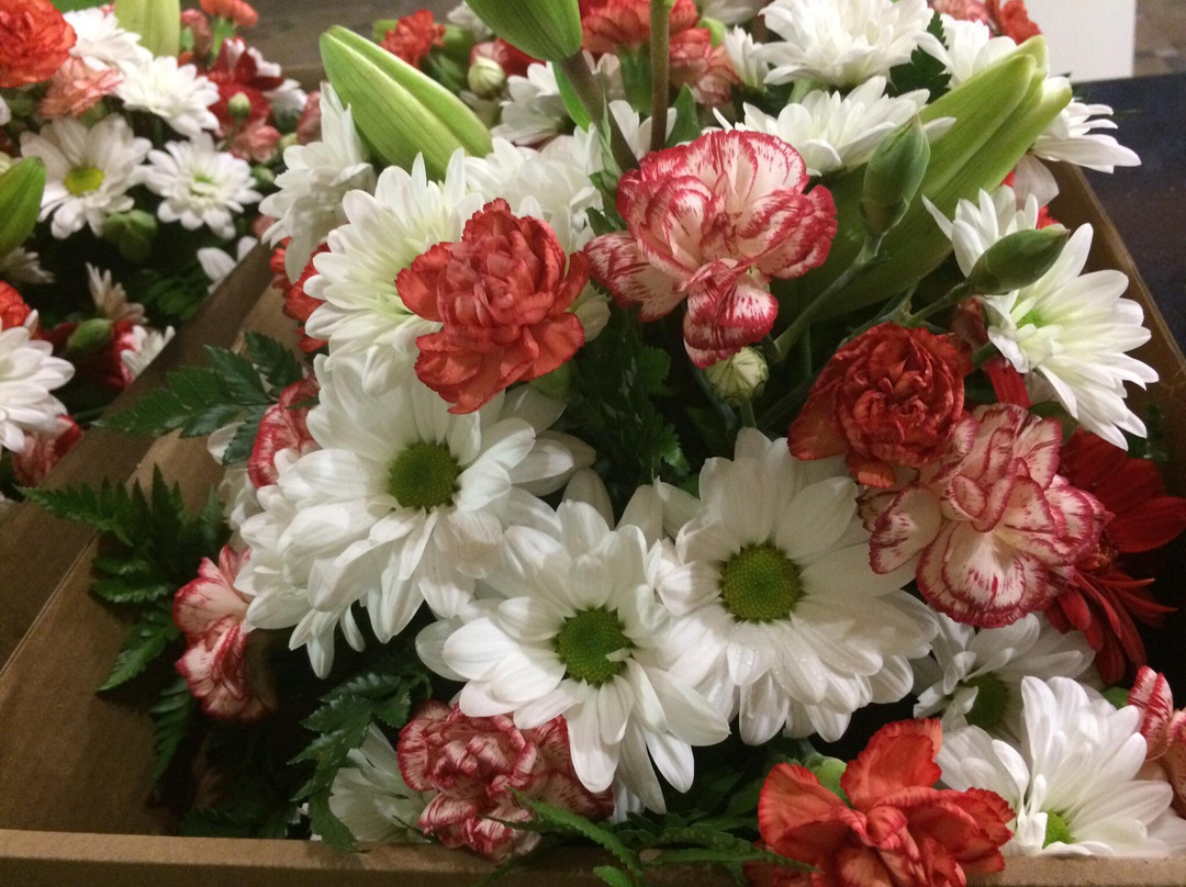 Copi Coy-穆尔西亚马萨龙港必去景点