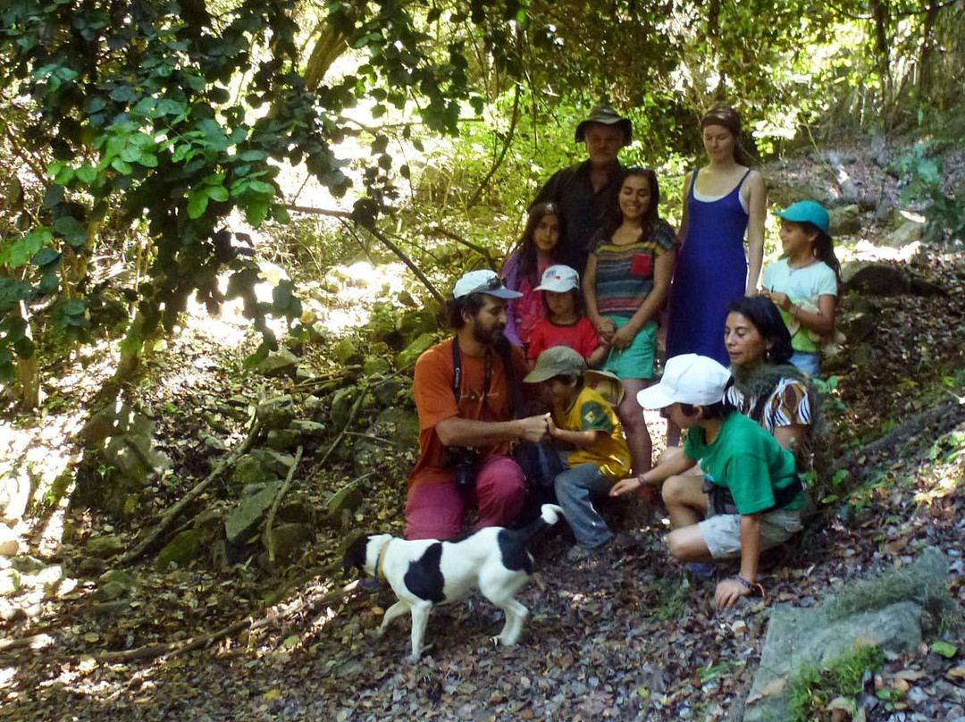 Parque Nacional La Campana-Olmue必去景点