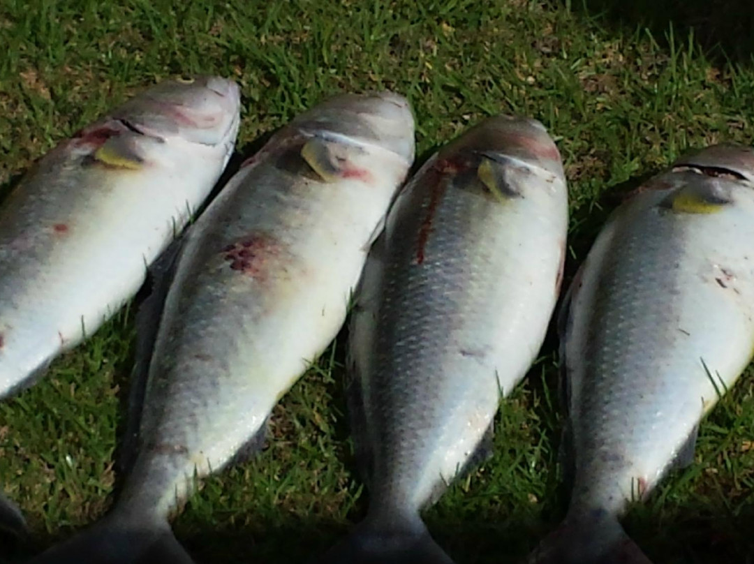 Our Place Augusta主图