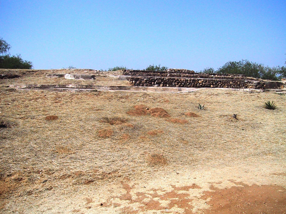Zona Arqueologica Zaachila景点图片