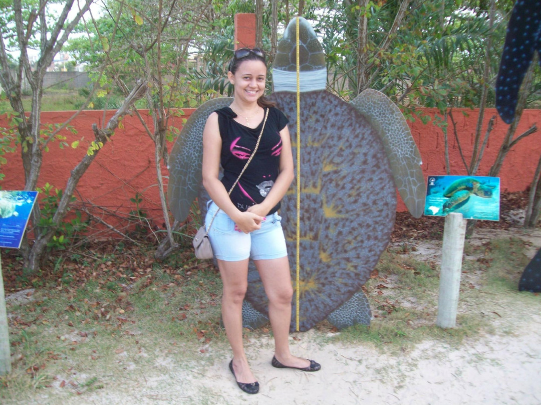 Projeto Tamar Guriri-Sao Mateus必去景点