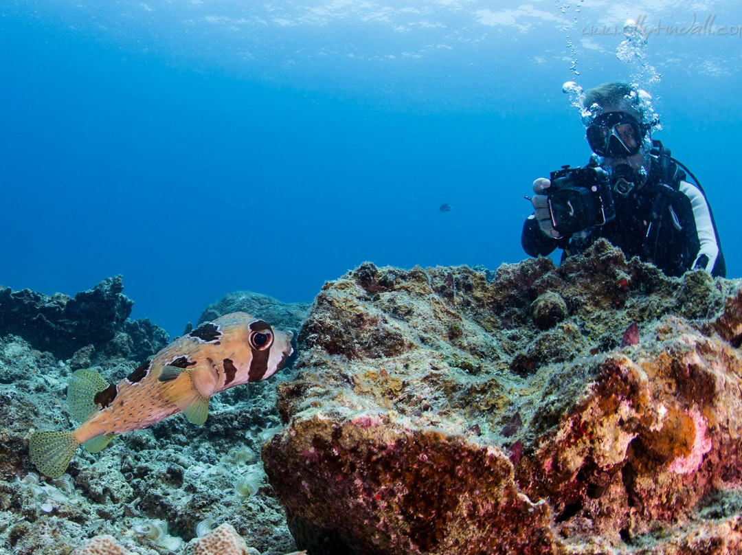 普吉岛安迪潜水体验-拉威必去景点