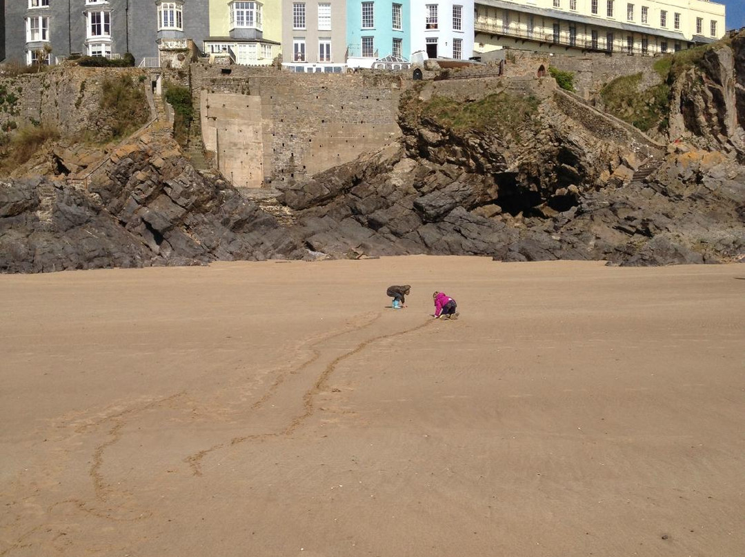 Tenby Castle Beach-腾比必去景点