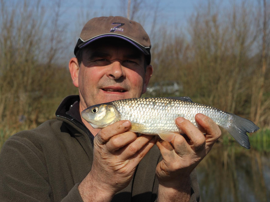 Orchard Lakes Fishery-New Milton必去景点