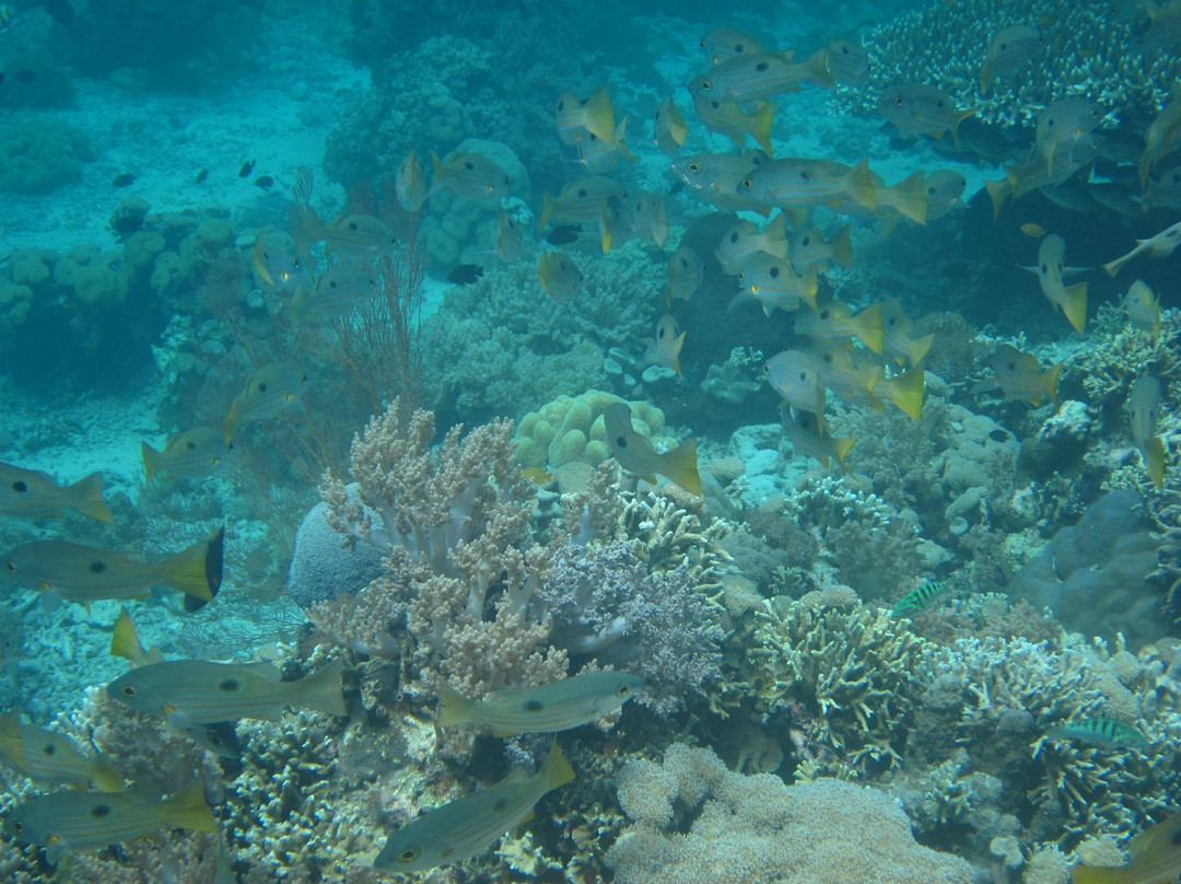 孟赞干岛-佩母德兰必去景点