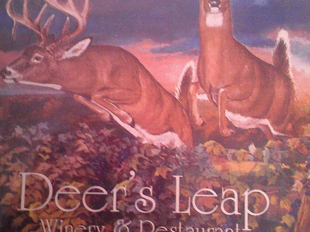 Deers Leap Winery景点图片