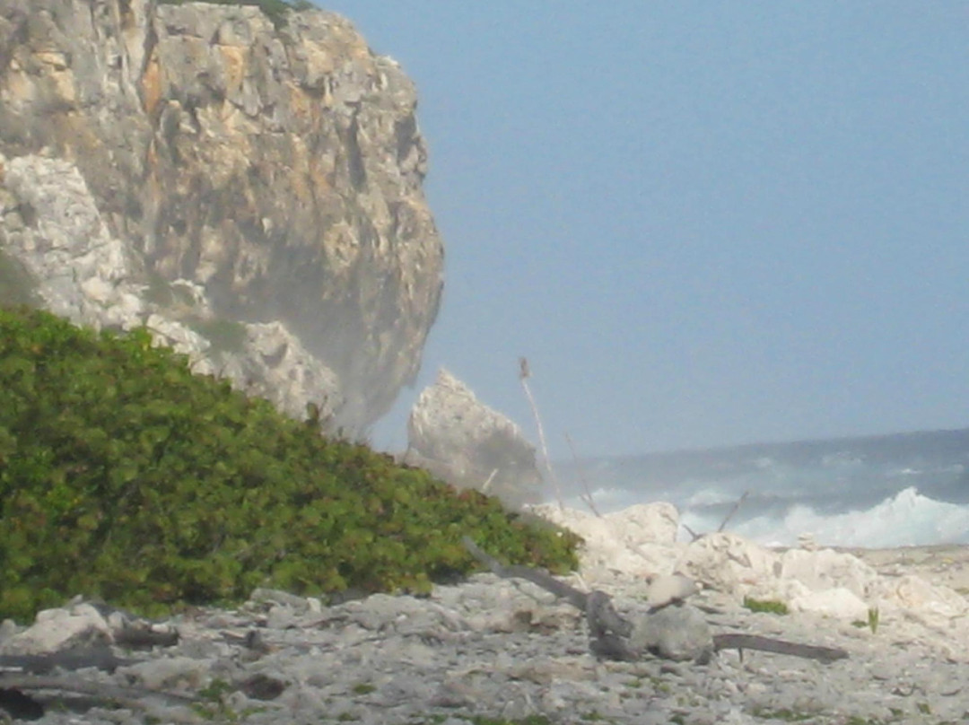 The Bluff-Cayman Brac必去景点