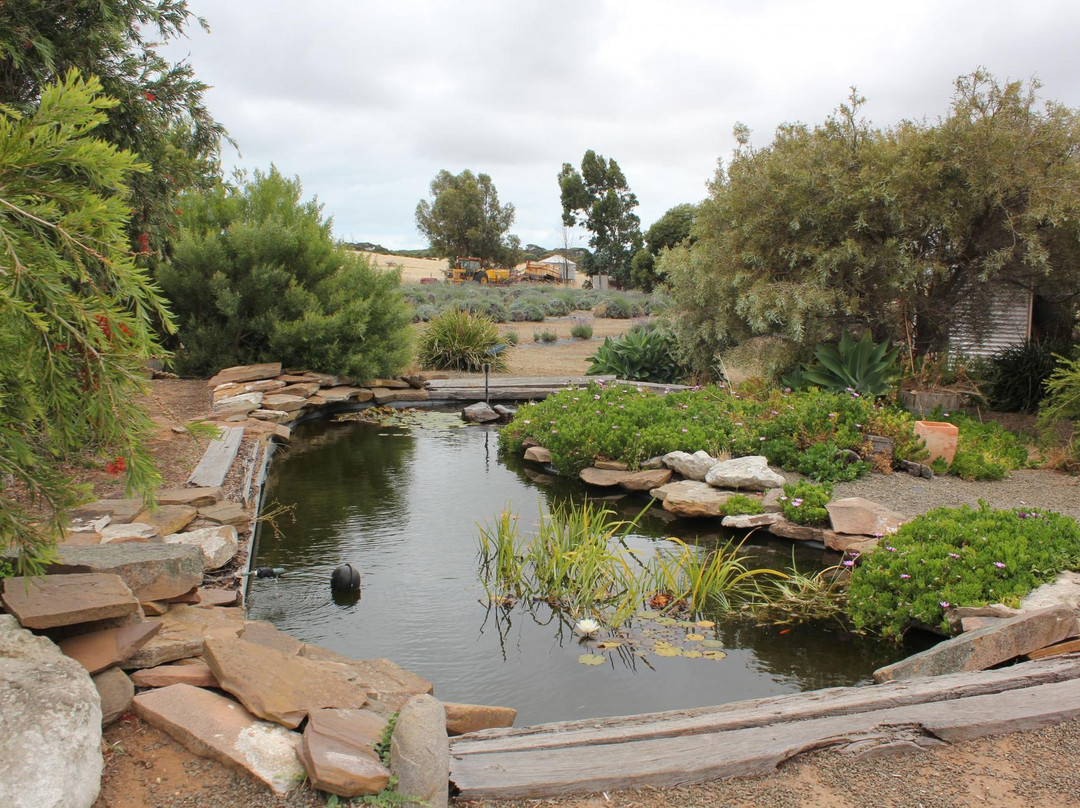 Emu Bay Lavender景点图片