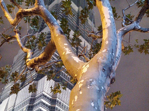 上海海友良品外滩福州路酒店主图