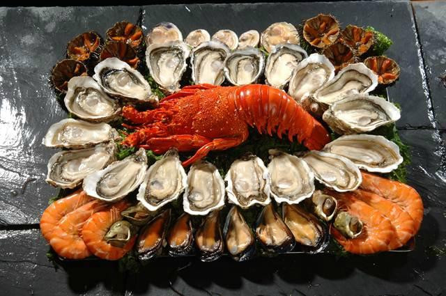 Coquillages Du Roy Rene