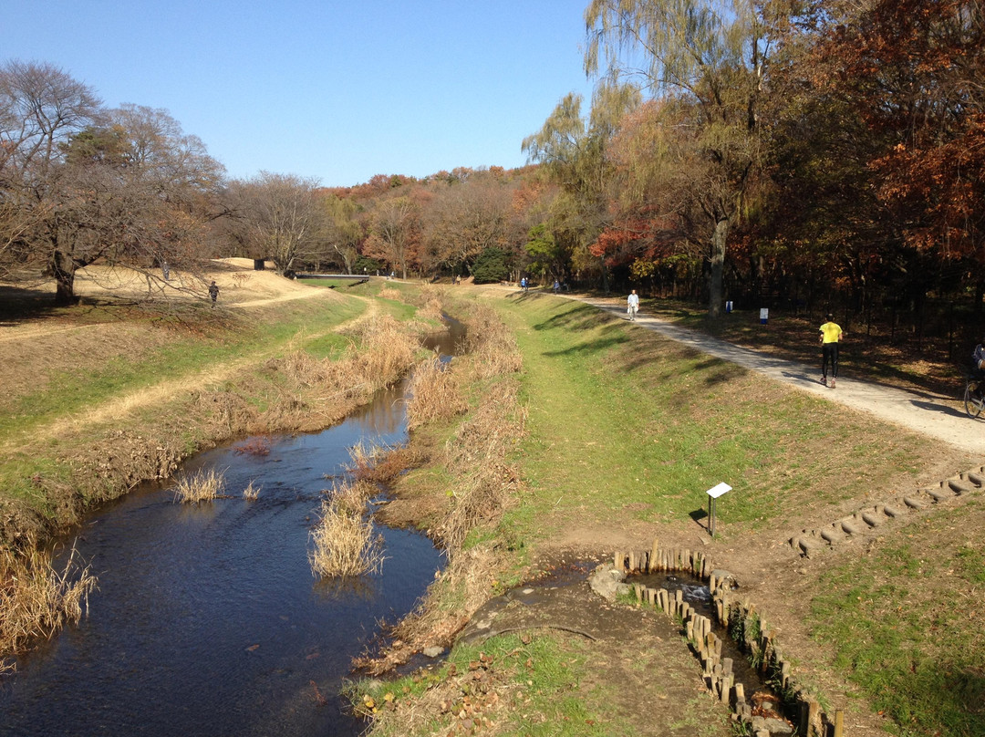 Nogawa Park-三鹰市必去景点
