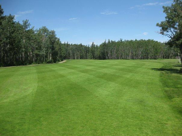 Morningview Park Golf Course-Sexsmith必去景点