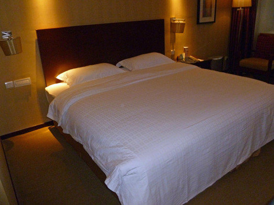 天伦松鹤大饭店主图