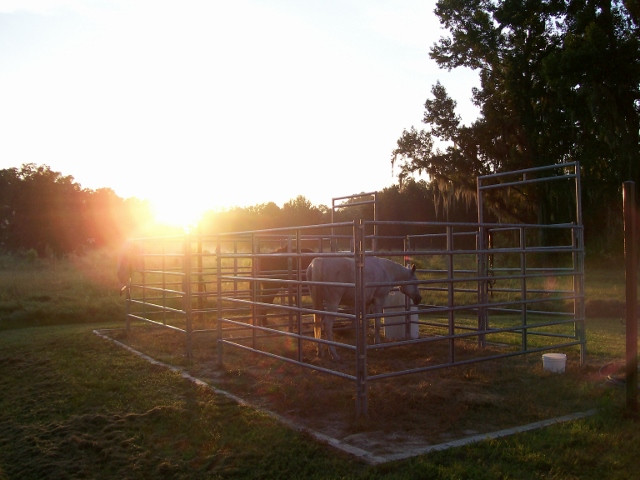 R.O. Ranch Equestrian Park-Mayo必去景点