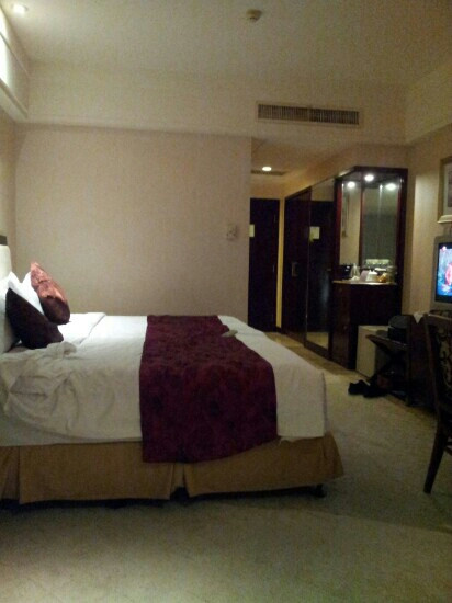 金九龙大酒店主图