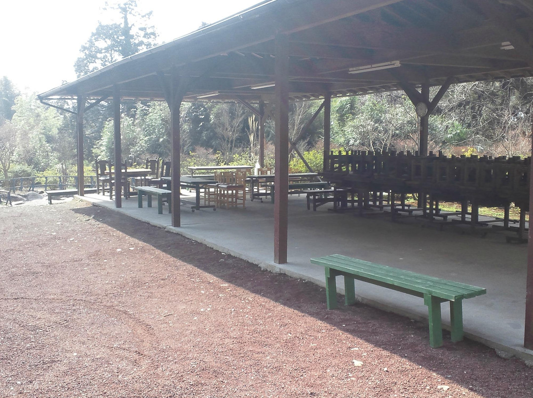 Susono Fishing Park-裾野市必去景点