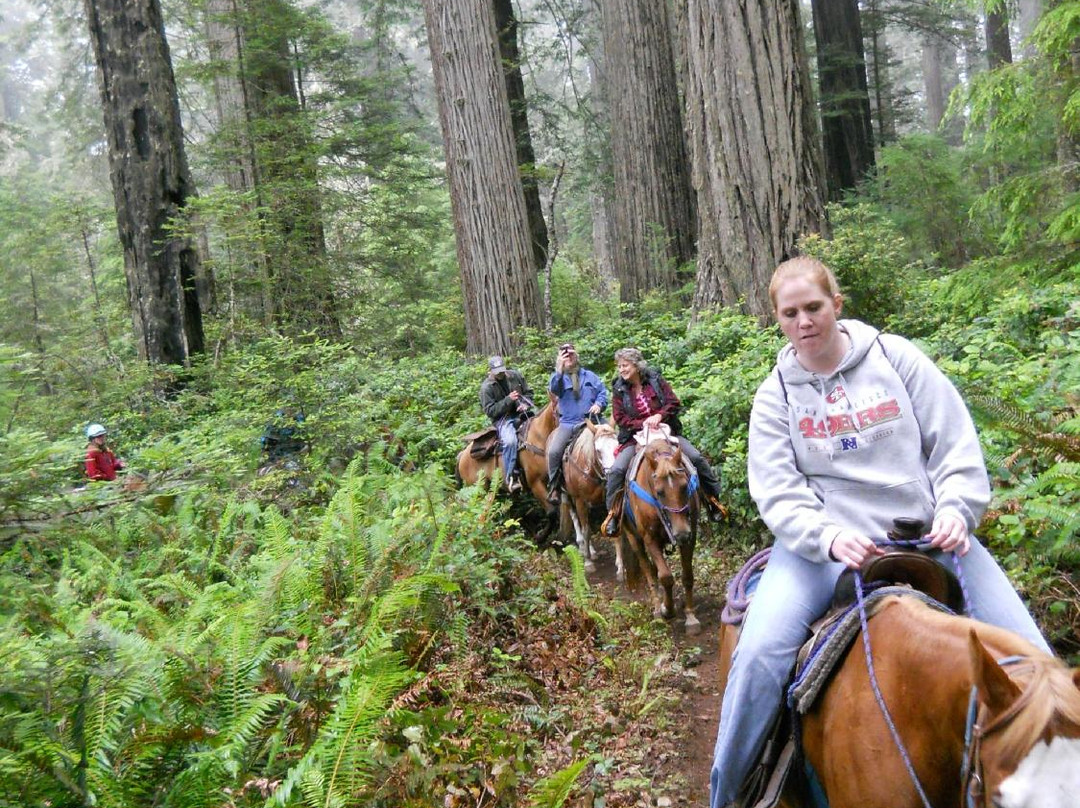 Redwood Creek Buckarettes-Orick必去景点