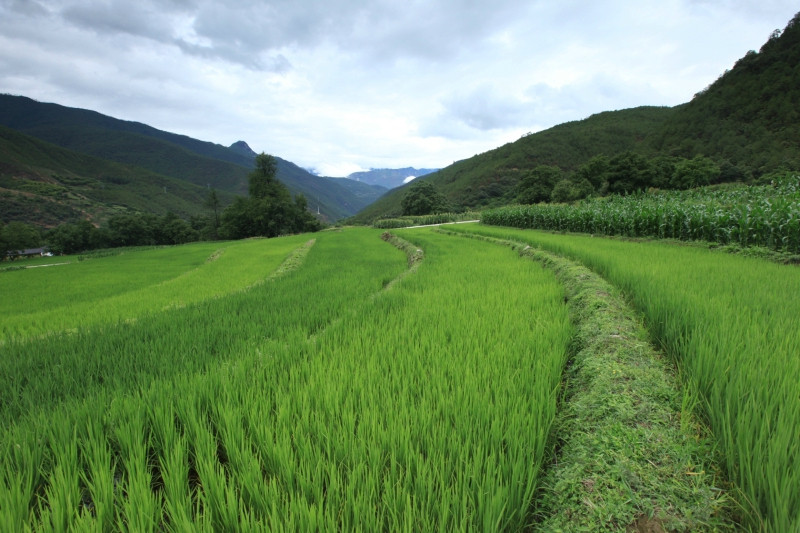 松赞塔城山居主图