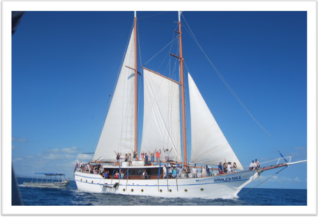 Whale's Tale Cruises Fiji-丹娜努岛必去景点