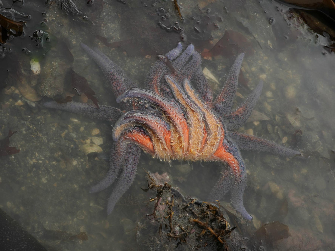 Center for Alaskan Coastal Studies-荷马必去景点