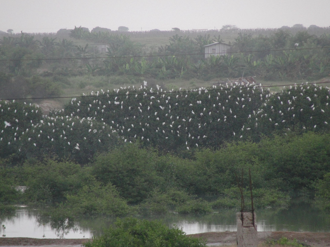 Las Palmas Del Mar主图