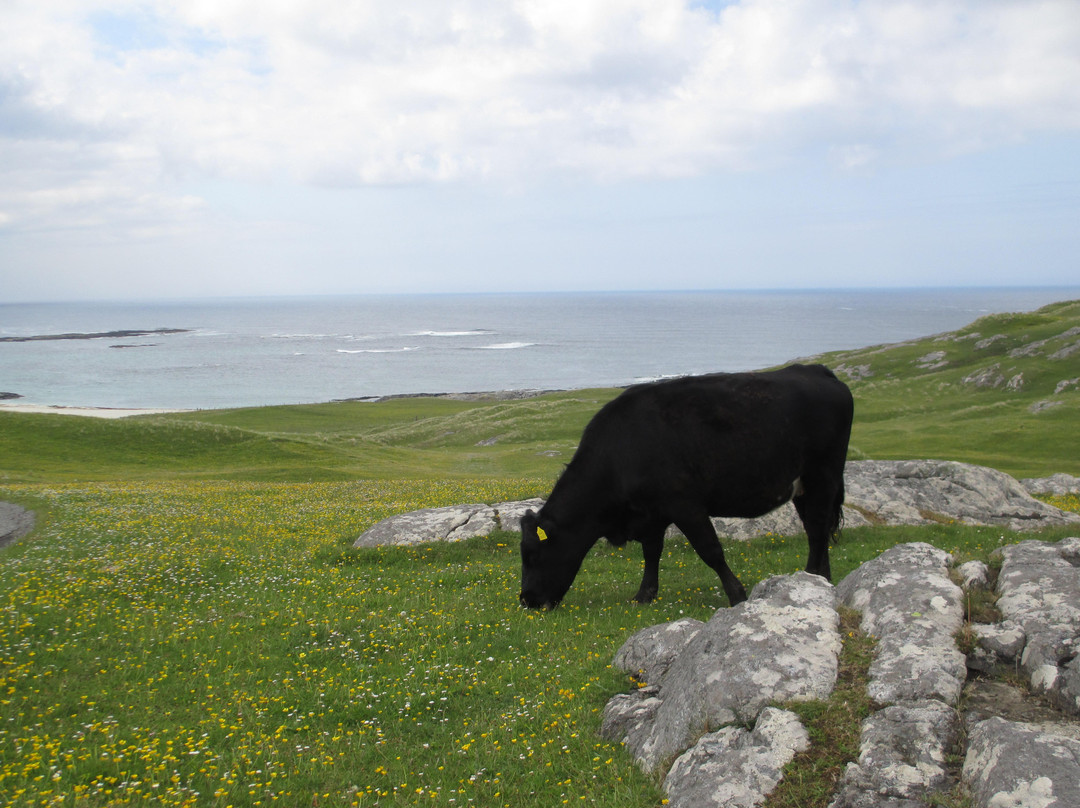 Barra Island Tours景点图片